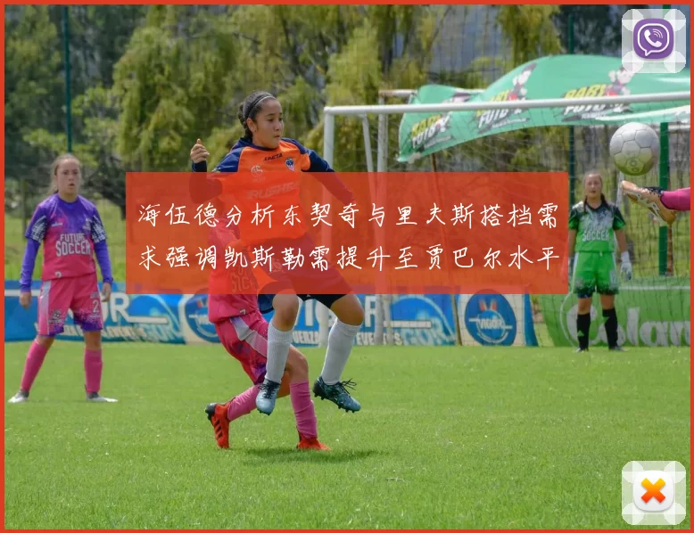 海伍德分析东契奇与里夫斯搭档需求强调凯斯勒需提升至贾巴尔水平